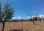 Non-developable land for sale on Pasaje los Díaz, Cartagena, ref: TR403109 photo