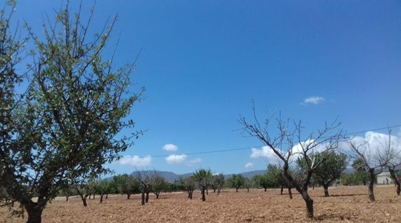 Múrcia - Cartagena - 3900m2