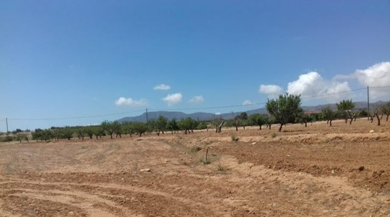 Múrcia - Cartagena - 3900m2