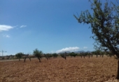Non-developable land for sale on Pasaje los Díaz, Cartagena, ref: TR403109 photo