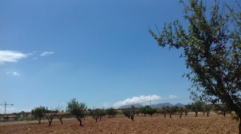 Múrcia - Cartagena - 3900m2