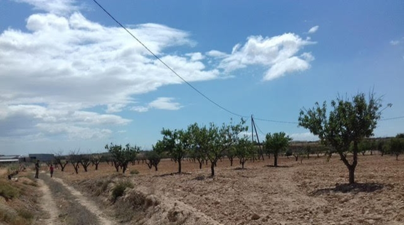 Múrcia - Cartagena - 3900m2
