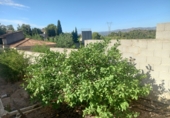 Xalet independent amb terreny en venda a Alginet ref.: TR405105 foto