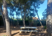 Xalet independent amb terreny en venda a Alginet ref.: TR405105 foto