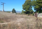 Xalet independent amb terreny en venda a Alginet ref.: TR405105 foto