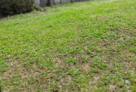 Baralla 652&nbsp;m² 