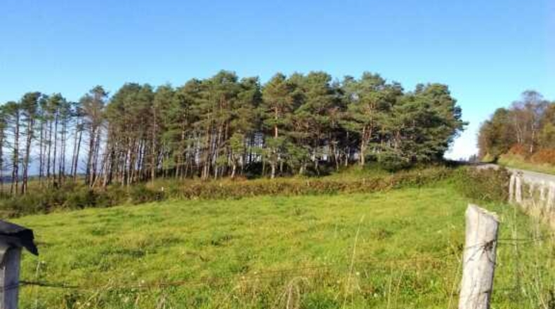 Lugo - A Pontenova - 154m2