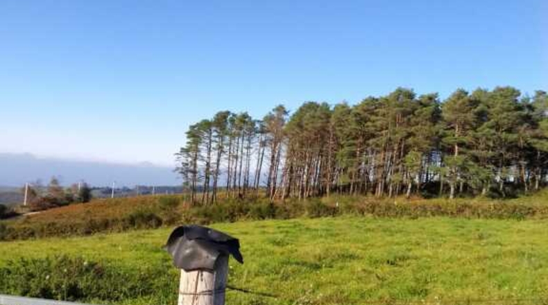 Lugo - A Pontenova - 154m2