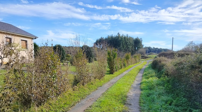 Lugo - Cervo - 2000m2