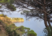 Таунхаус с участком на продажу в городе Sant Feliu de Guíxols Фото