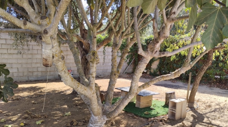 Cádiz - Chiclana de la Frontera - 40m2