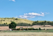 Xalet independent amb terreny en venda a Iecla ref.: TR403204 foto