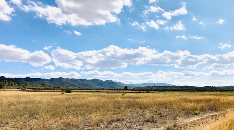 Мурсия - Йекла - 30000m2