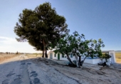 Chalet independiente con terreno en venta en Yecla ref: TR403203 foto