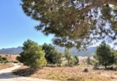 Chalet adosado con terreno en venta en Yecla ref: TR403202 foto