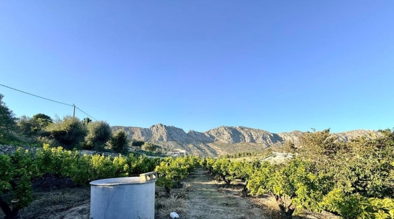 Alicante - Sanet y Negrals - 3127m2