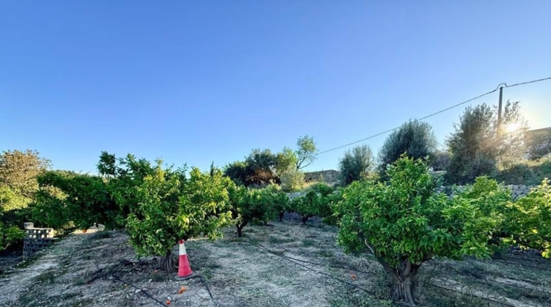 Alicante - Sanet y Negrals - 3127m2