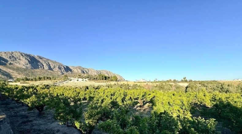 Alicante - Sanet y Negrals - 3127m2