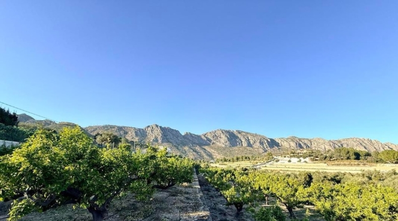 Alicante - Sanet y Negrals - 3127m2