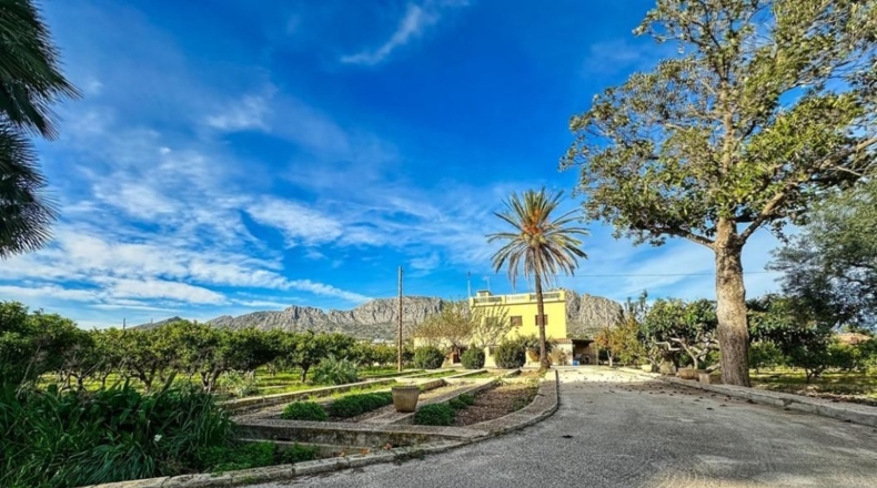Alicante - Beniarbeig - 42044m2