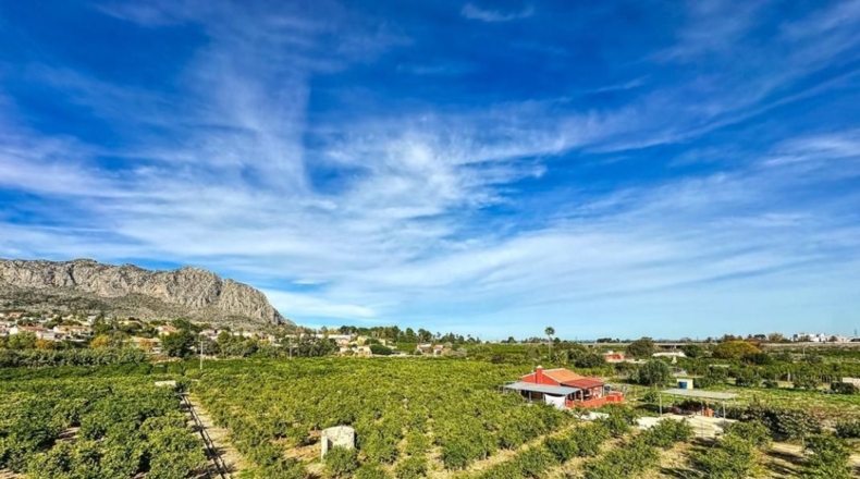 Alicante - Beniarbeig - 42044m2