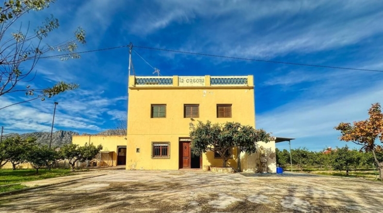 Alicante - Beniarbeig - 42044m2