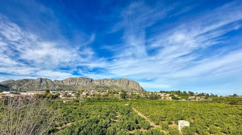 Alicante - Beniarbeig - 42044m2