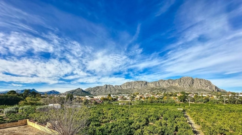Alicante - Beniarbeig - 42044m2