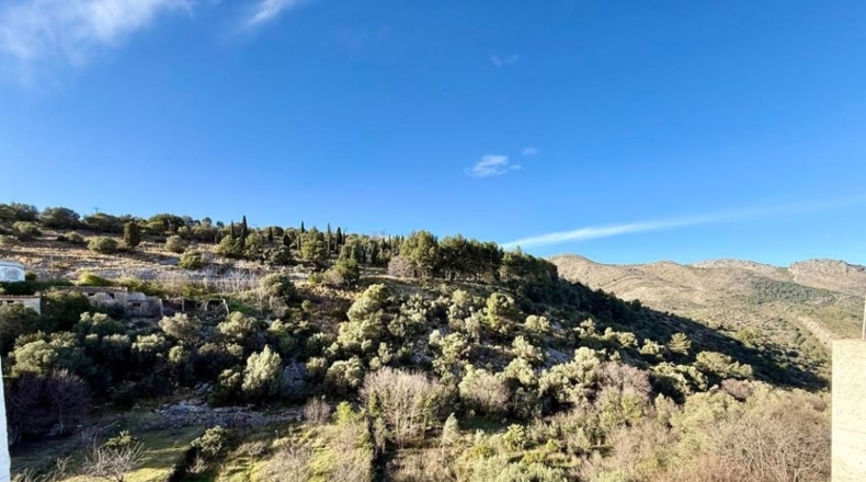 Alicante - el Campell - 159m2