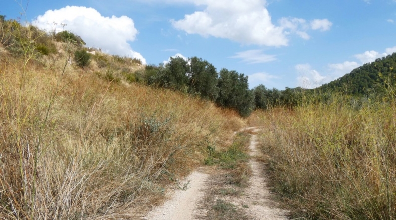 Tarragona - Caseres - 4800m2
