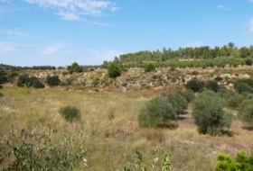 Caseres 4800&nbsp;м²