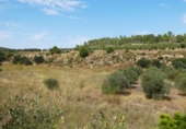 Terreno no urbanizable en venta en Caseres ref: TR403122 foto
