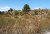 Terreno no urbanizable en venta en Caseres ref: TR403122 foto