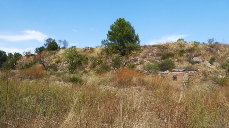 Tarragona - Caseres - 4800m2