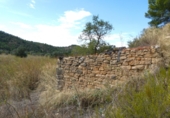 Terreno no urbanizable en venta en Caseres ref: TR403122 foto