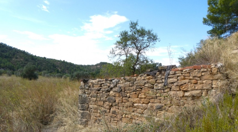 Tarragona - Caseres - 4800m2
