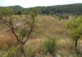 Terreno no urbanizable en venta en Caseres ref: TR403122 foto