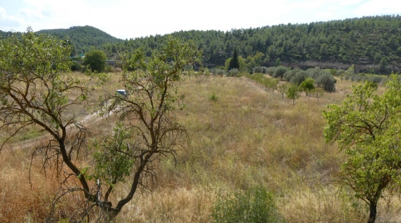 Tarragona - Caseres - 4800m2
