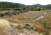 Terreno no urbanizable en venta en Caseres ref: TR403122 foto