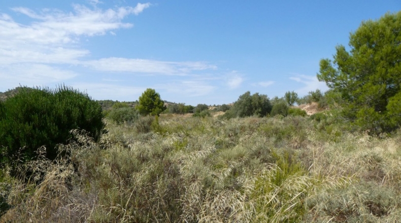 Tarragona - Caseres - 4800m2