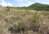 Terreno no urbanizable en venta en Caseres ref: TR403122 foto