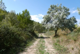 Caseres 4800&nbsp;м²