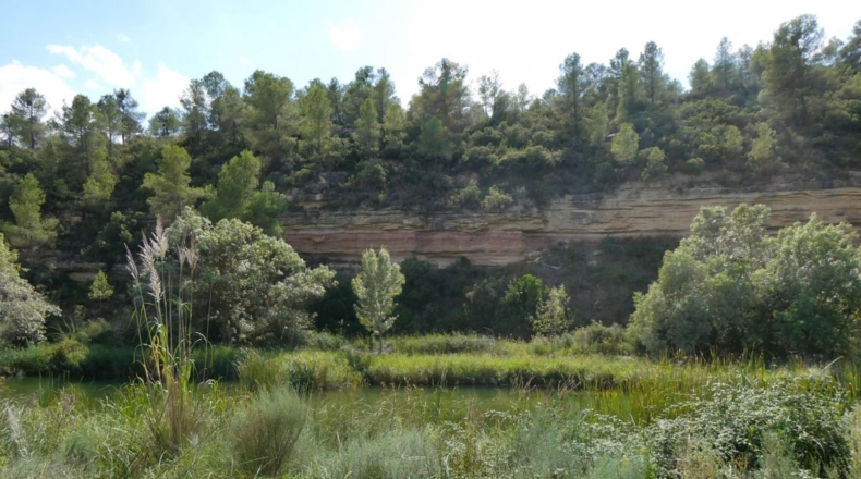 Tarragona - Caseres - 4800m2