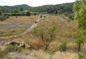 Terreno no urbanizable en venta en Caseres ref: TR403122 foto
