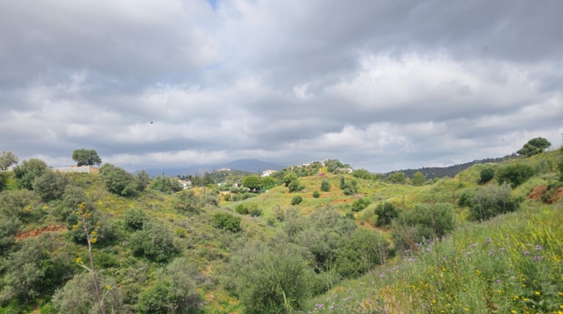 Málaga - Mijas - 29719m2