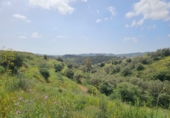 Terreno no urbanizable en venta en la Polígono 14 Parcela 580 ENTRE RIOS. MIJAS, Campo-Mijas, ref: TR403095 foto