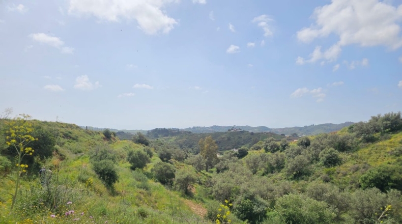 Málaga - Mijas - 29719m2