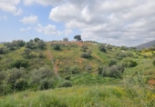 Terreno no urbanizable en venta en la Polígono 14 Parcela 580 ENTRE RIOS. MIJAS, Campo-Mijas, ref: TR403095 foto