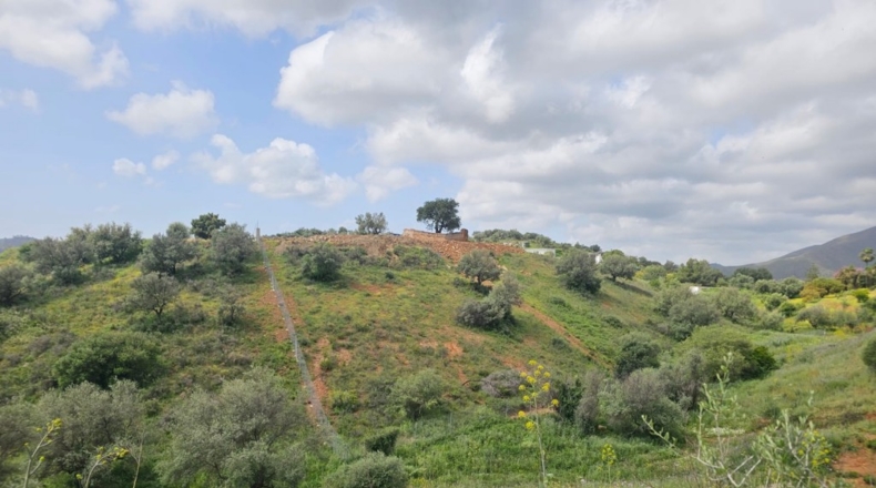 Málaga - Mijas - 29719m2