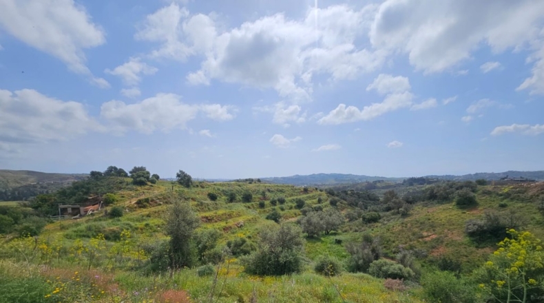 Málaga - Mijas - 29719m2